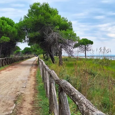 In Exclusive Complex Lejlighed *